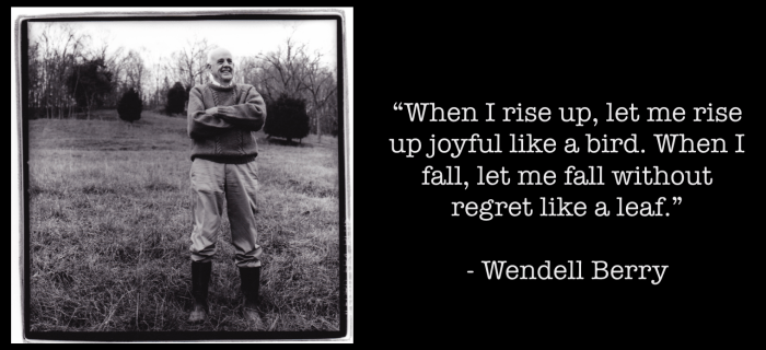 Screen Shot 2016-05-09 at 10.43.50 AM.png